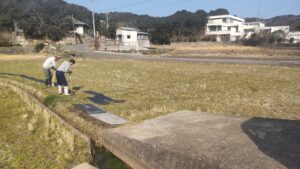 中島田の古代蓮ほ場の整備作業