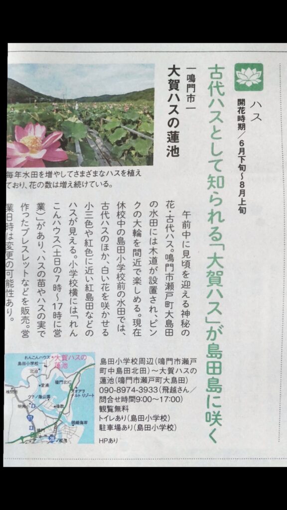 徳島新聞さららに掲載の古代蓮