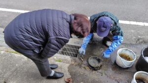花ハスの植え替えの様子