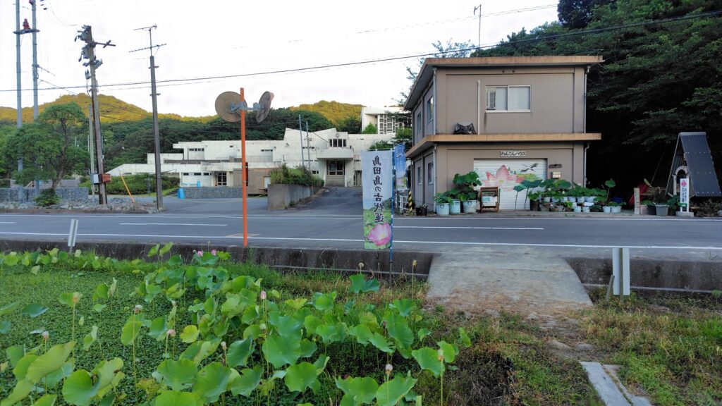 れんこんハウス