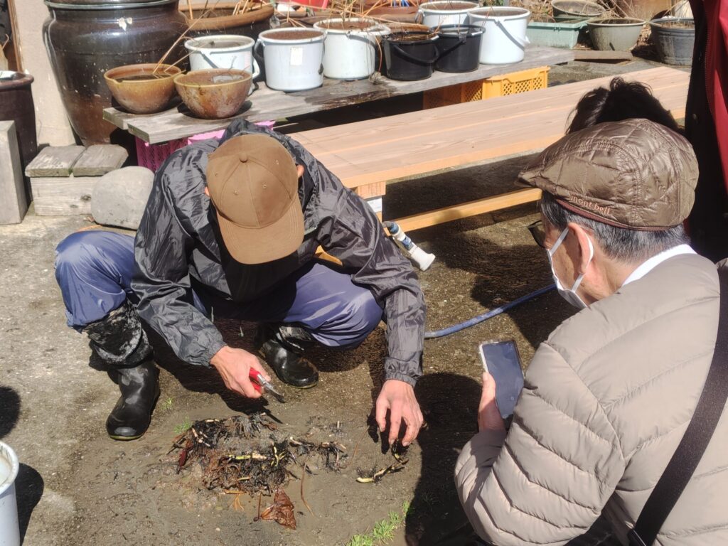 令和8年2月28日花ハス栽培講習会